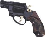 Revolver S&W